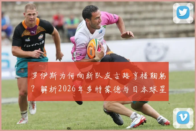 罗伊斯为何向新队友古路亨梧鞠躬？解析2026年多特蒙德与日本球星的初次相遇细节与背景